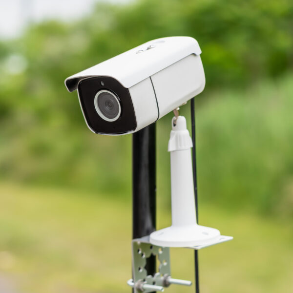 Field Camera (Thread Camera)